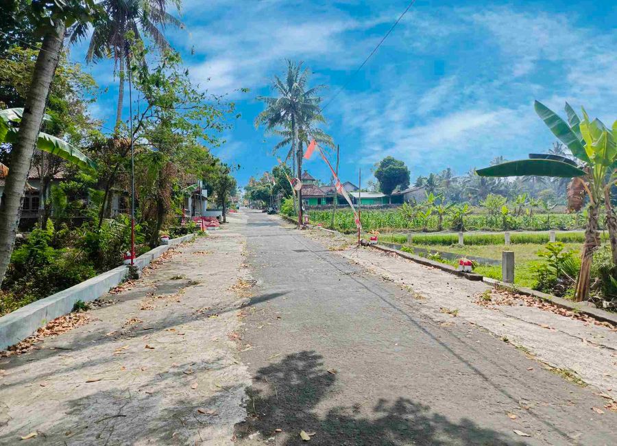 place photo 17