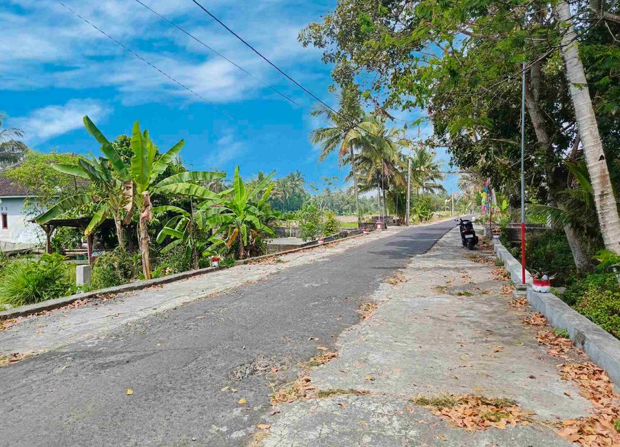 place photo 18