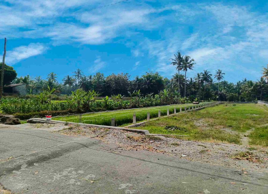 place photo 19