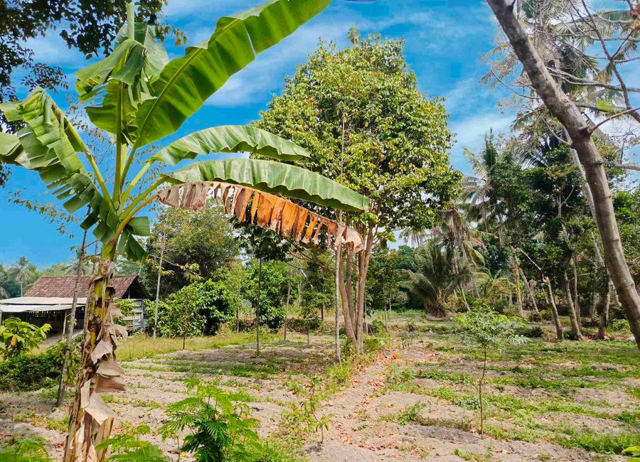 place photo 20