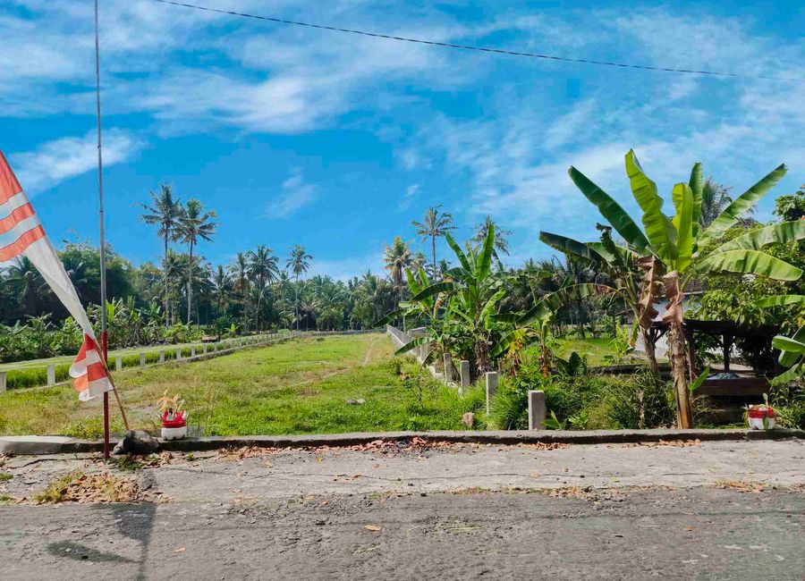 place photo 21