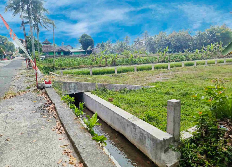 place photo 22