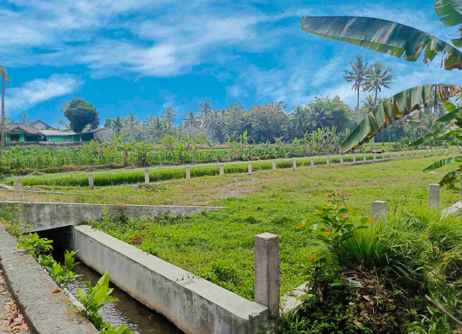 place photo 23