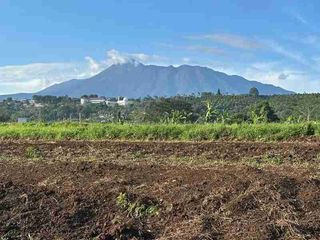 Tanah Puncak Dekat Jalan Raya Utama Potensial