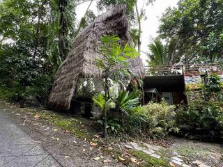 Dijual Tanah Isi Rumah Kayu View Sawah Los Sungai Penebel Tabanan Bali