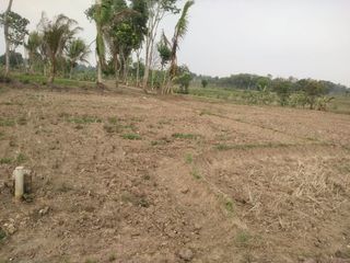 Tanah Dijual Cepat di Cikareo