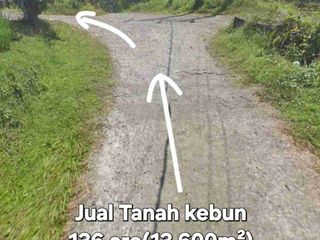 Jual Tanah 136are loss sungai, view air terjun di Selemadeg Tabanan Bali