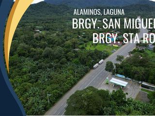 BRGY SAN MIGUEL - BRGY STA ROSA ALAMINOS, LAGUNA