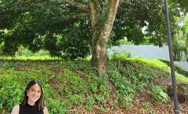 Repriced! For Sale Phase 1 Vacant lot in Ayala Westrgove Heights, Silang Cavite