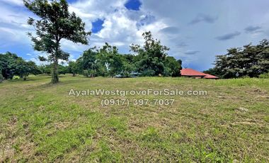 Ayala Westgrove Heights 588 sqm Lot for Sale