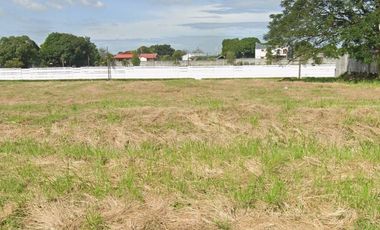 For Sale Commercial Lot in Alabang West, Las Piñas City - C0072