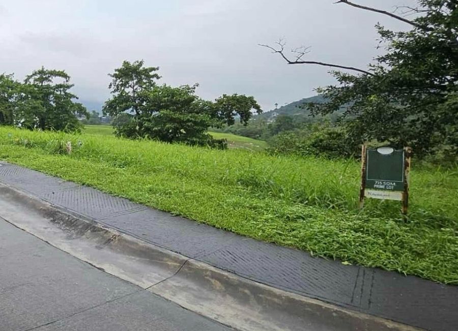 Spine Road, Ayala Greenfield Estates, Maunong, Calamba, Laguna
