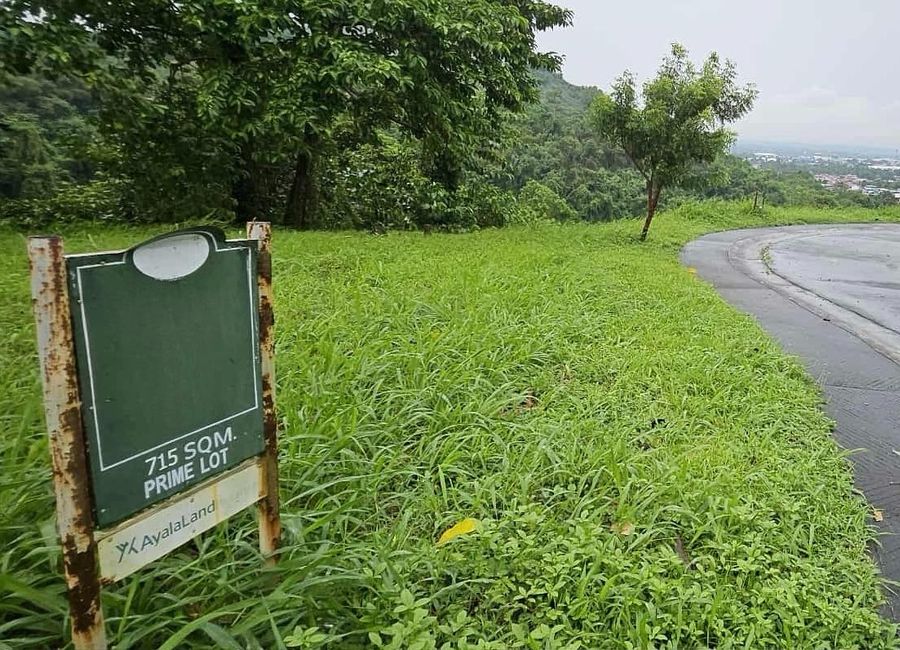 Spine Road, Ayala Greenfield Estates, Maunong, Calamba, Laguna image 2