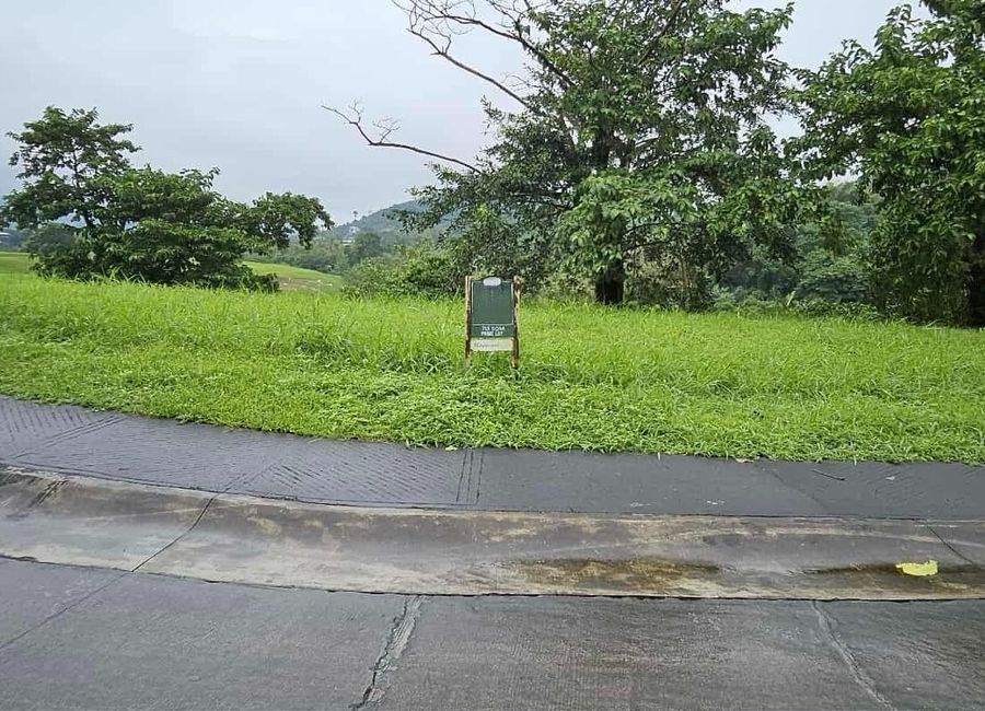 Spine Road, Ayala Greenfield Estates, Maunong, Calamba, Laguna image 3