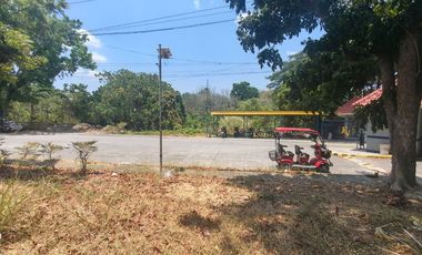 Fairway view Subdivision salawag Dasmarinas lot for sale beside Gaurd house