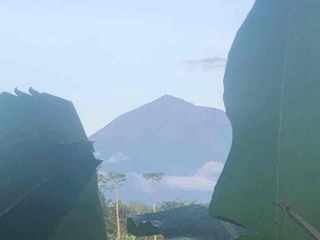jual tanah payangan kerta dekat ubud