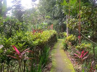 4,659 SQM Farm Lot with Fruit-Bearing Trees in Silang, Cavite