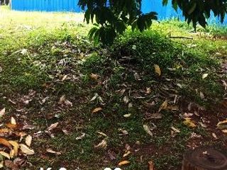 Kavling Puri Botanical Jakarta Barat