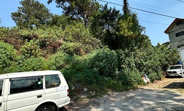 Wide lot ideal for commercial and residential purposes