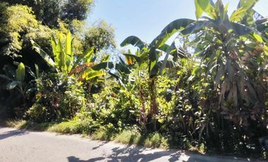 Residential and Agricultural lot  with 3980 SQM ideal for  pocket housing and for  Warehouse - Bajan Liloan Cebu