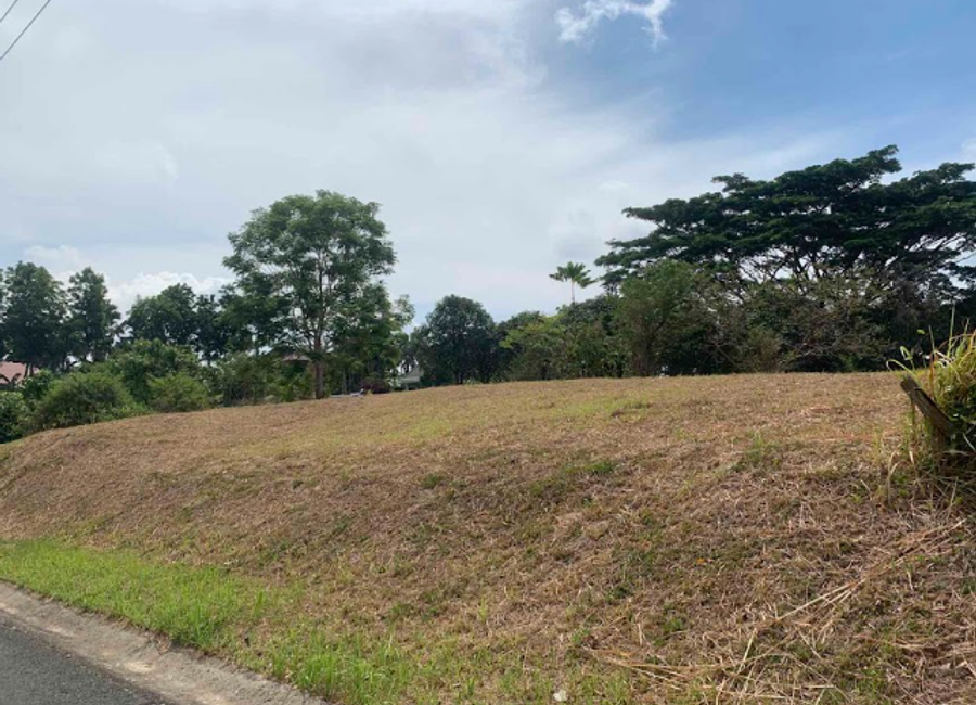 P. de Joya Street, Anak-Dagat, Lemery, Batangas