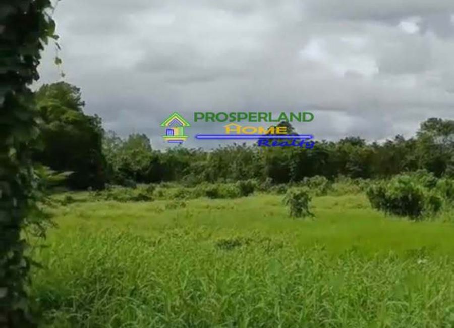 Greenfield Parkway, Zapote, Biñan, Laguna