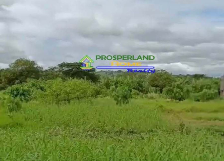 Greenfield Parkway, Zapote, Biñan, Laguna image 2