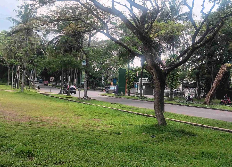 place photo 7