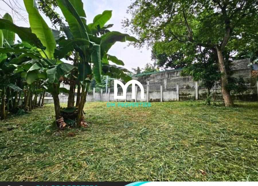 3rd Avenue, Beverly Hills, Antipolo, Rizal image 2
