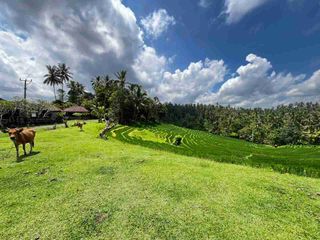 Dijual Tanah View Gunung Dan Sawah Terasering Di Daerah Wisata Berkembang Tabanan Bali