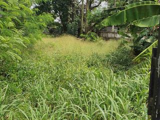 Dijual tanah dilokasi strategis dekat vila melati mas serpong