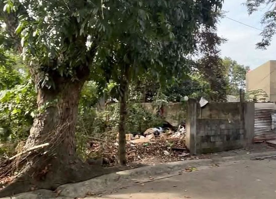 Greenfield Parkway, Zapote, Biñan, Laguna