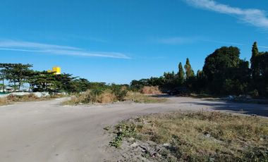 13,250sqm Lot for Sale near C6, Barangay Sta. Ana, Taguig