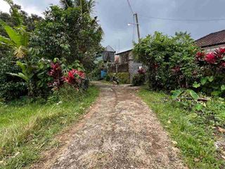 Dijual Tanah View Sawah Isi Aneka Buah Yg Siap Panen Tabanan Bali