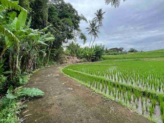 Dijual Tanah View Sawah Zona Kuning Dekat Pantai Kerambitan Tabanan Bali