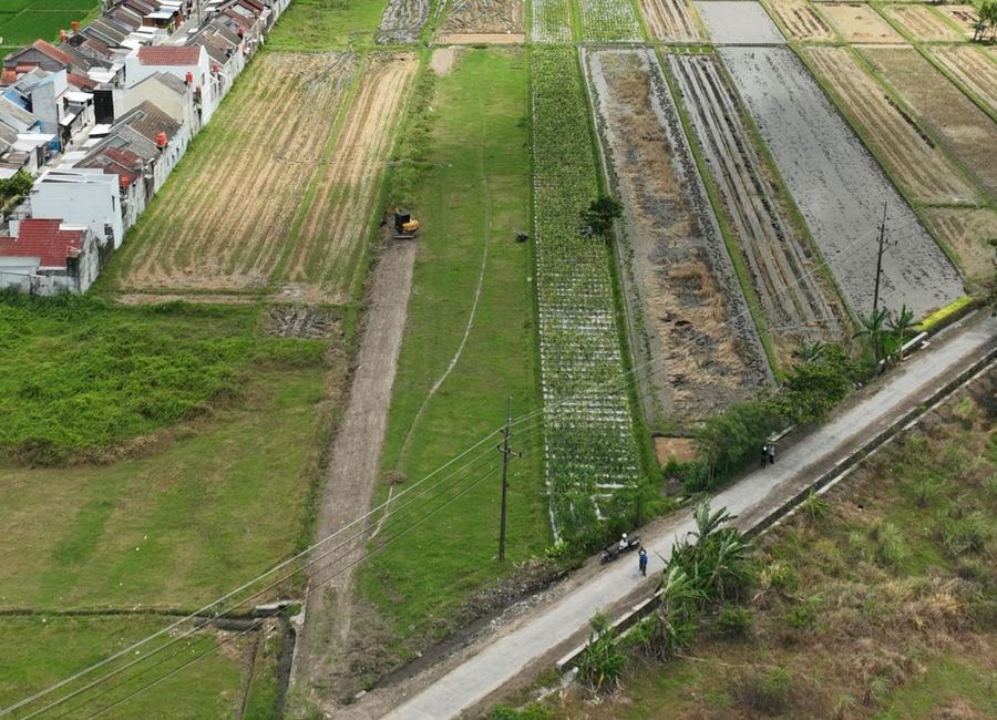 place photo 3
