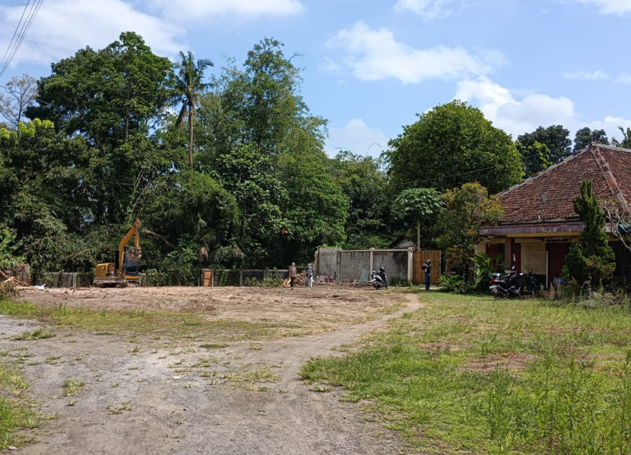 place photo 5