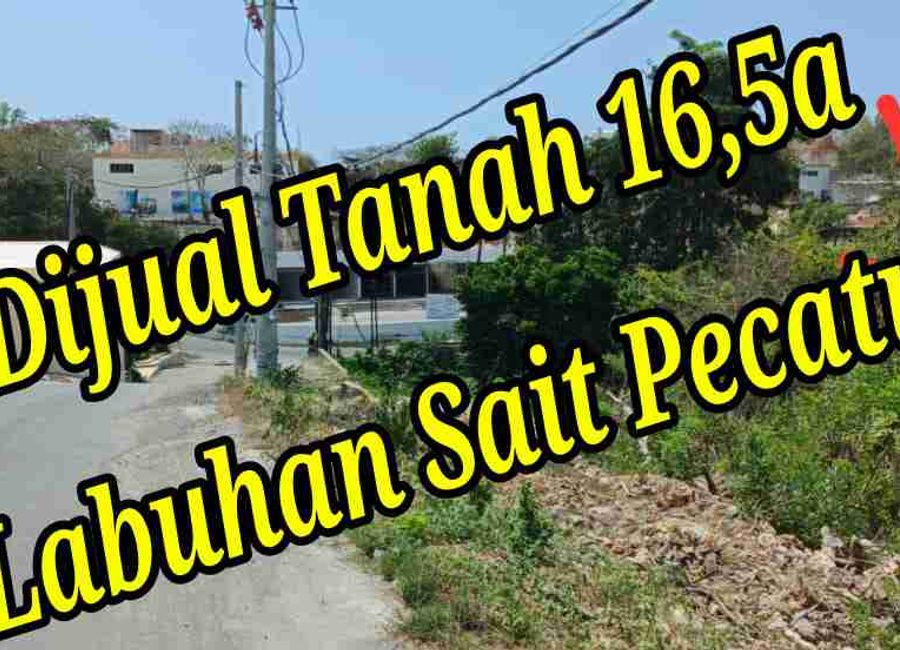 place photo 1