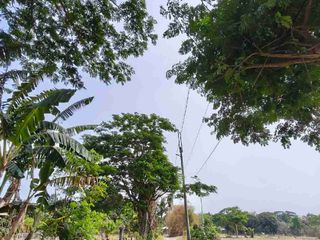 Farm Lot Installment Tiaong Quezon