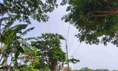 Lot For Sale in Tiaong Quezon Installment