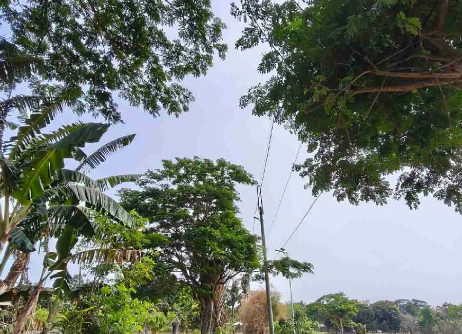 Cabatang, Tiaong, 2nd District, Quezon