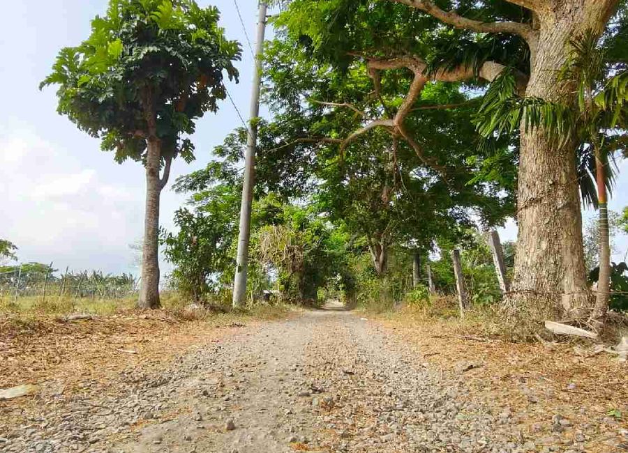 Cabatang, Tiaong, 2nd District, Quezon image 2