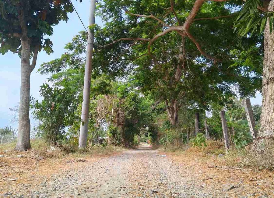 Cabatang, Tiaong, 2nd District, Quezon image 3