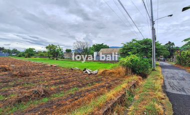 Tanah 20 are, 2.000m2 Excellent Land in Popular Area in Buleleng, Bali