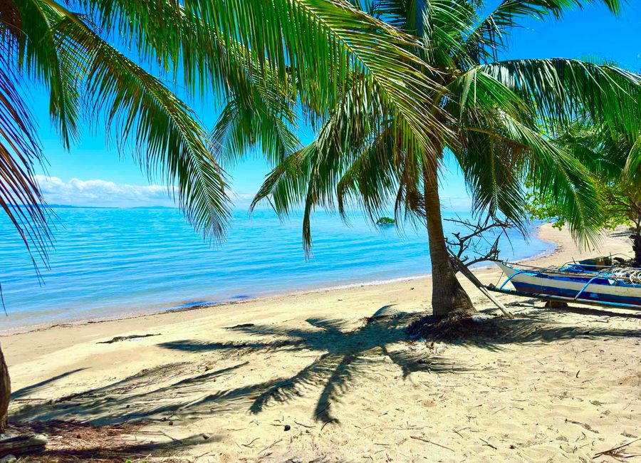 Quezon image 2