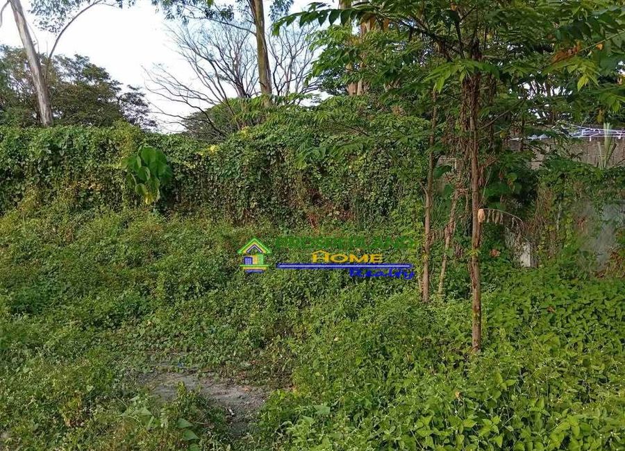 San Luis Street, Purok 2, Landayan, San Pedro, Laguna image 2