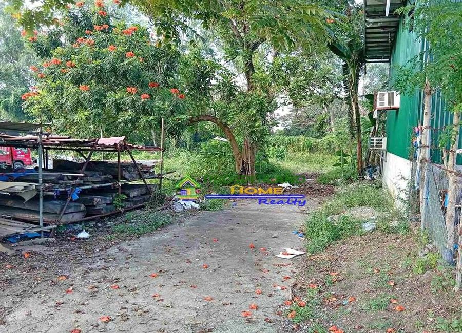 San Luis Street, Purok 2, Landayan, San Pedro, Laguna