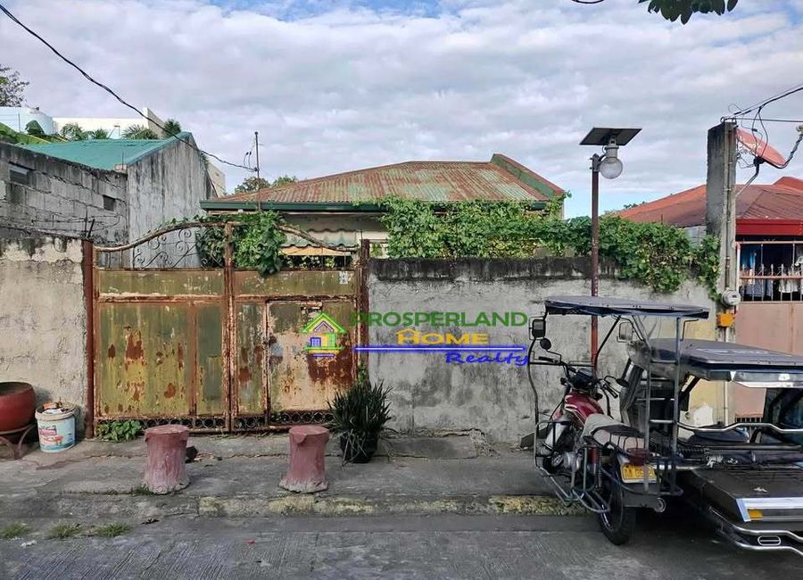 San Luis Street, Purok 2, Landayan, San Pedro, Laguna