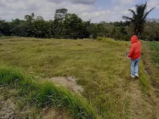 Premium 6 Are Land For Leasehold 30 Years In Prime Ubud Location