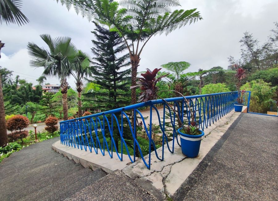 place photo 14
